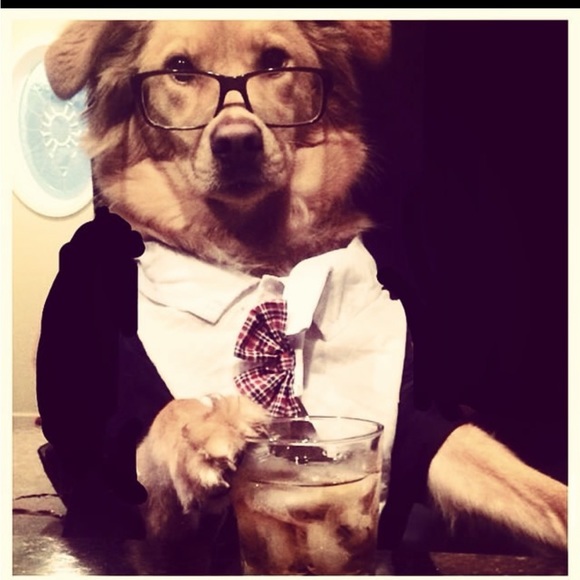 mystery prize box from DeeOgee ( D O G) customized to you . - Picture 1 of 11